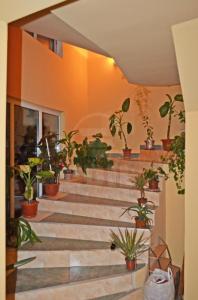 Casa de vânzare 10 camere, CACJ193265FLO-4