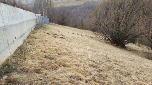 Teren de vânzare, TECJ209581FLO-11