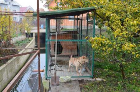 Casa de vânzare 7 camere, CACJ272829-9