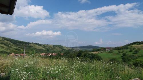 Casa de Închiriere 3 camere, CACJ273165-11