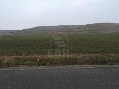 Teren de vânzare, TECJ231248FLO