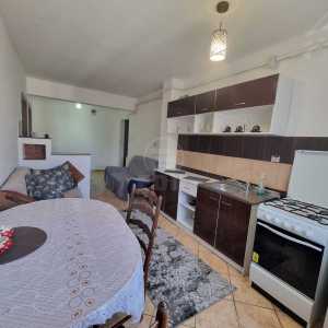 Apartament de Închiriere o camera, APCJ231359FLO
