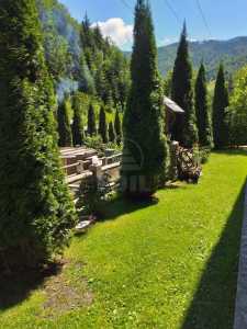 Cabana de vânzare 9 camere, CBCJ231598FLO-4