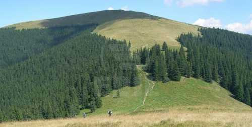 Teren de vânzare, TECJ231944FLO-1