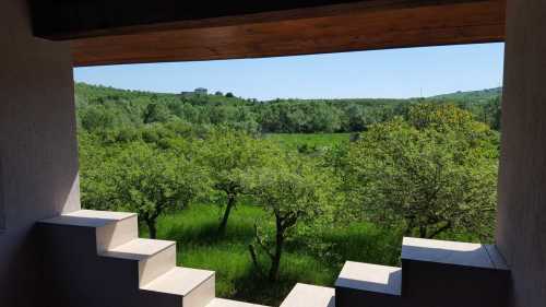 Casa de vânzare 5 camere, CACJ287397-5