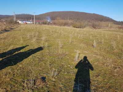 Teren de vânzare, TECJ233452FLO-5