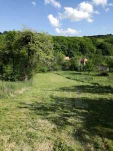 Teren de vânzare, TECJ308518-3