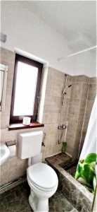 Casa de vânzare 15 camere, CACJ315233-22