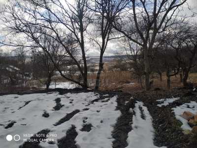 Teren de vânzare, TECJ239693FLO-4