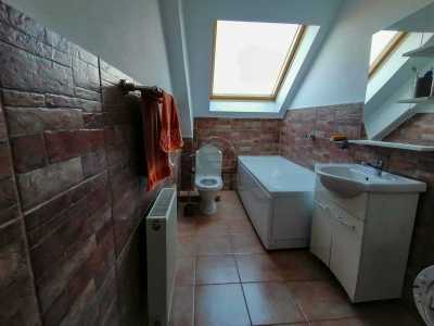 Spațiu comercial de vânzare 10 incaperi, SCCJ325662-3