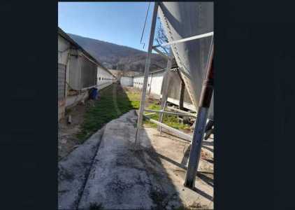 Hala de Închiriere o incapere, HACJ241972FLO-5