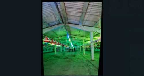 Hala de Închiriere o incapere, HACJ241972FLO-4