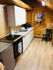 Cabana de vânzare 4 camere, CBCJ331805-4