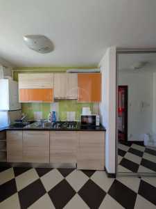 Apartament de Închiriere o camera, APCJ243690FLO-7