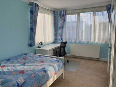 Casa de vânzare 7 camere, CACJ336059-10