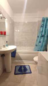 Apartament de Închiriere 2 camere, APCJ339499-14