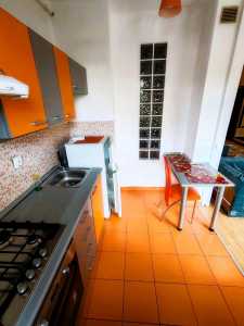Apartament de Închiriere o camera, APCJ339553-3