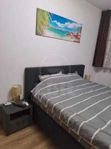 Apartament de Închiriere 2 camere, APCJ340406-1