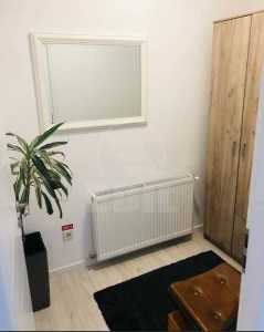 Spațiu comercial de vânzare 2 incaperi, SCCJ341043-6