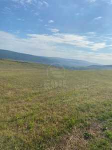 Teren de vânzare, TECJ244796FLO-7