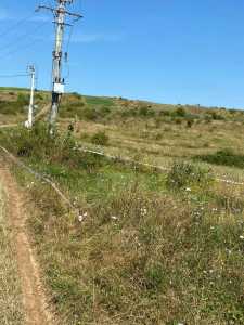 Teren de vânzare, TECJ244796FLO-5