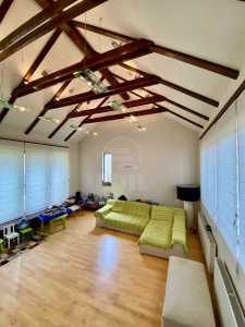 Casa de vânzare 4 camere, CACJ245088FLO-10