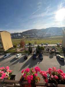 Apartament de vânzare 2 camere, APCJ245123FLO-14