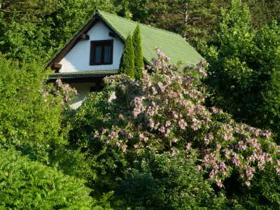 Casa de vânzare 6 camere, CACJ245222FLO-16