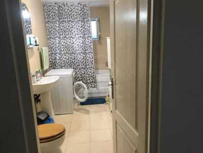 Apartament de Închiriere o camera, APCJ344660-3
