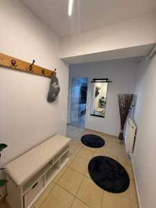 Apartament de Închiriere o camera, APCJ344744-19