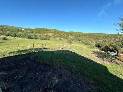 Casa de vânzare 4 camere, CACJ245627FLO-7