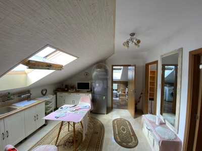Apartament de Închiriere 3 camere, APCJ245604FLO