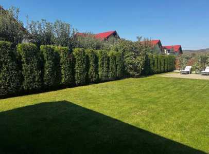 Casa de vânzare 4 camere, CACJ245616FLO-3