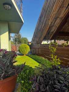 Casa de vânzare 4 camere, CACJ245616FLO-4