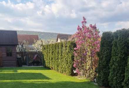 Casa de vânzare 4 camere, CACJ245616FLO-10