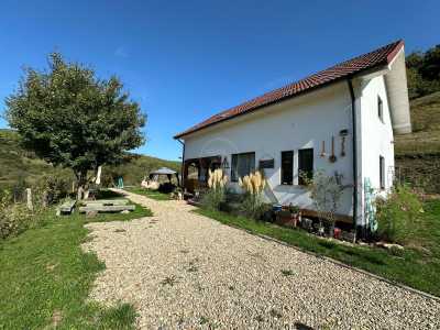 Casa de vânzare 5 camere, CACJ245624FLO-4