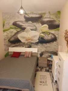 Apartament de Închiriere 2 camere, APCJ348229-15