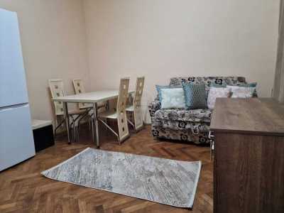 Apartament de Închiriere o camera, APCJ348917-2