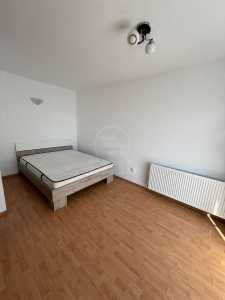 Apartament de Închiriere o camera, APCJ246215FLO-4