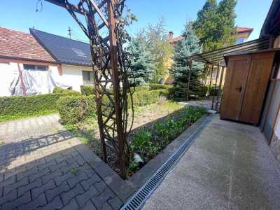 Apartament de Închiriere o camera, APCJ349968-7