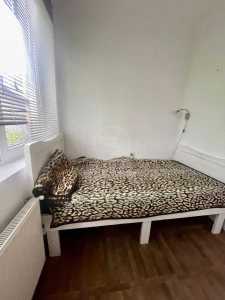 Casa de vânzare 5 camere, CACJ350521-5