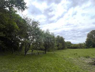 Casa de vânzare 2 camere, CACJ350768-18