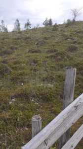 Teren de vânzare, TECJ246415FLO-17