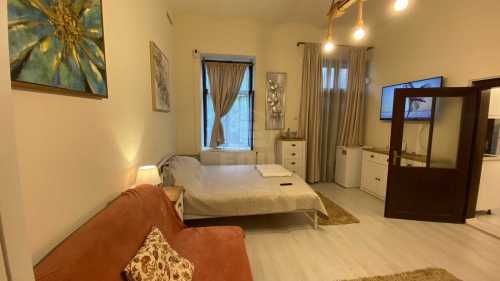 Apartament de Închiriere o camera, APCJ352398-3