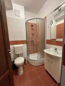 Apartament de Închiriere 5 camere, APCJ352190-11