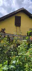 Casa de vânzare 3 camere, CACJ353590-5