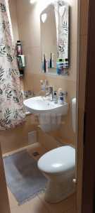 Apartament de vânzare 2 camere, APCJ353667-3