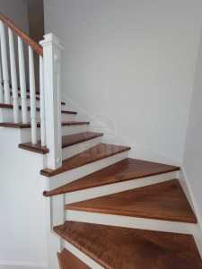 Casa de Închiriere 5 camere, CACJ353933-11