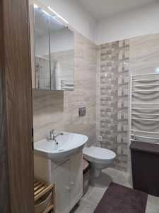 Apartament de Închiriere o camera, APCJ246746FLO-12