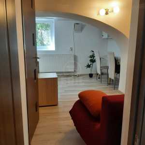 Apartament de Închiriere o camera, APCJ355036-3